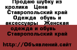 Продаю шубку из кролика › Цена ­ 10 000 - Ставропольский край Одежда, обувь и аксессуары » Женская одежда и обувь   . Ставропольский край